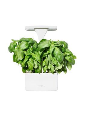 Short Stories Indoor Garden Planter - White - Herbs, Flowers